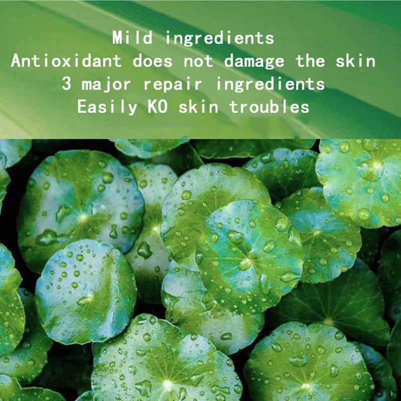 Mascarilla Nocturna K-Derma: Centella Asiática & Colágeno - Pack de 30 Sobres